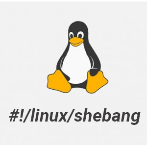 脚本第一行的 #! 是什么